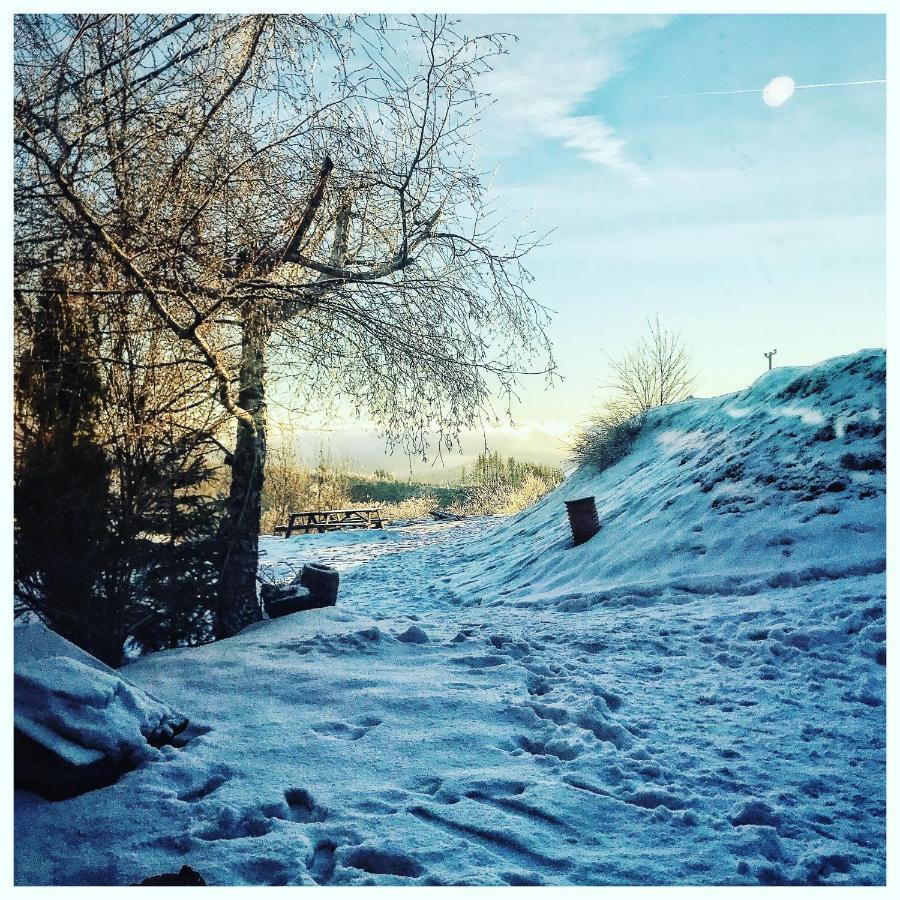 Chata Pod Jaworem Wisla Bagian luar foto