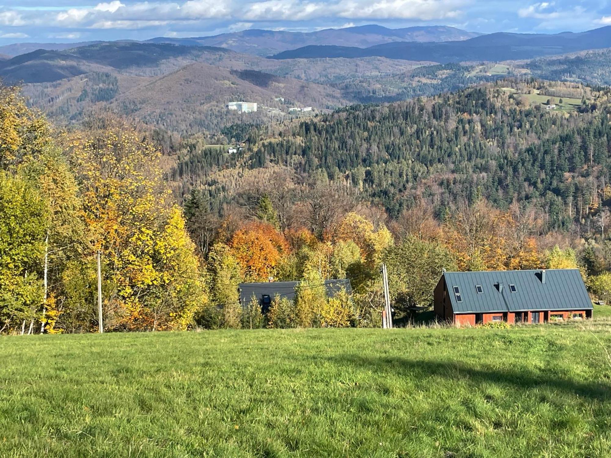 Chata Pod Jaworem Wisla Bagian luar foto