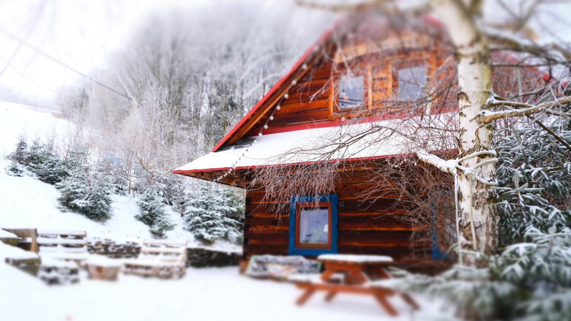 Chata Pod Jaworem Wisla Bagian luar foto