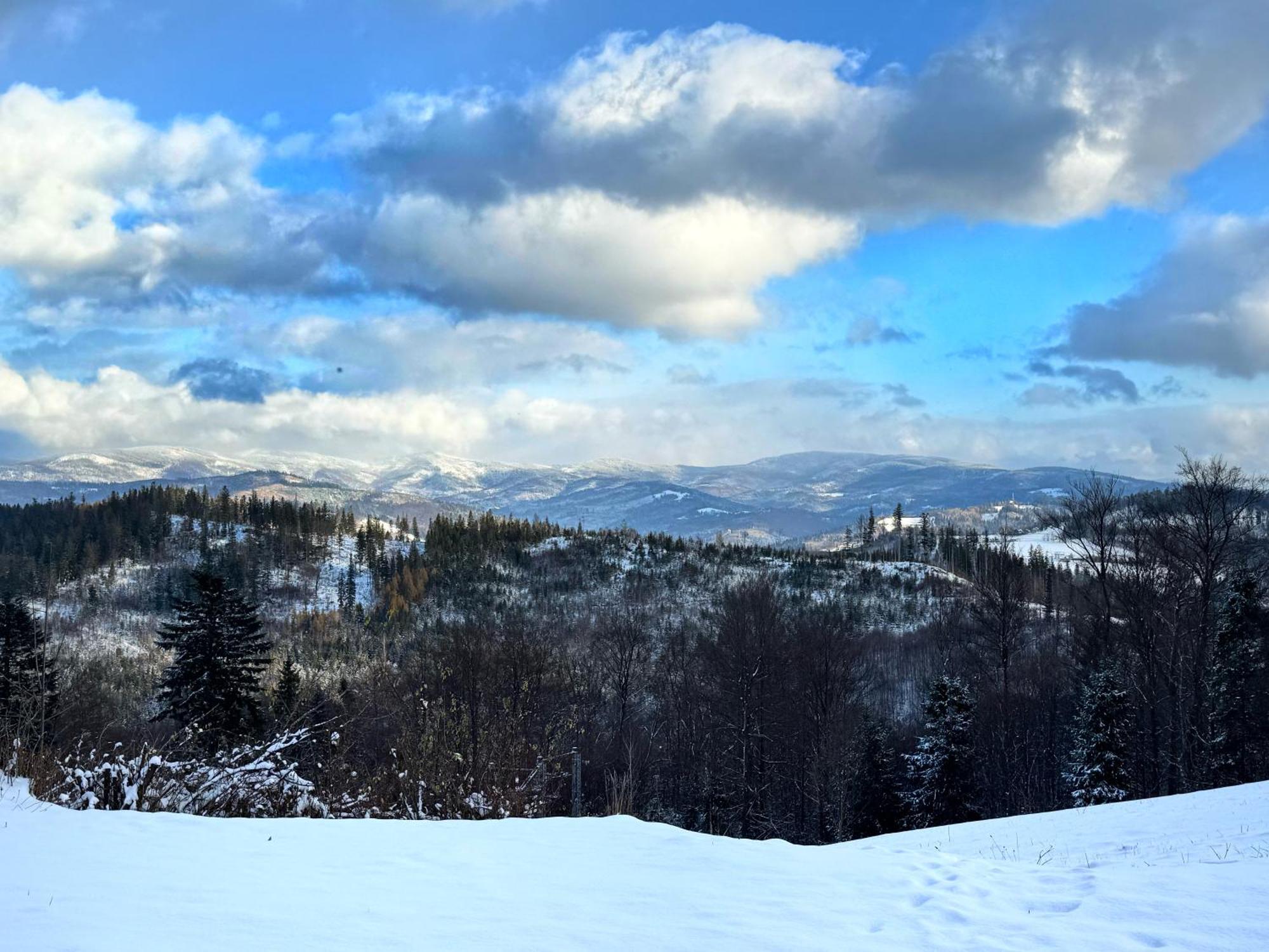 Chata Pod Jaworem Wisla Bagian luar foto