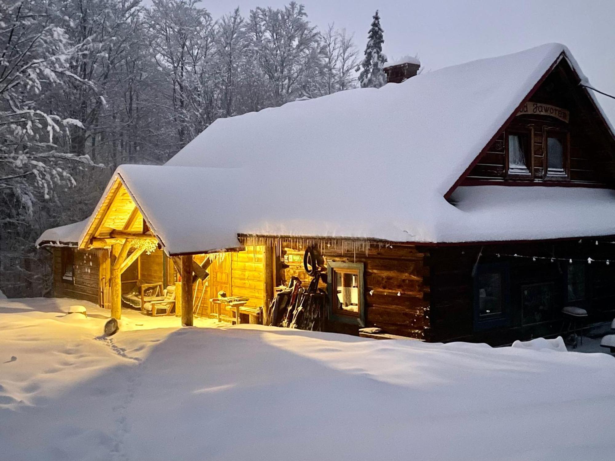 Chata Pod Jaworem Wisla Bagian luar foto